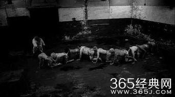 人体蜈蚣4手机在线观看,手机在线惊悚之旅  第3张