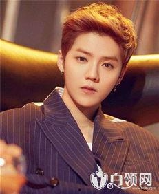 爆料鹿晗炒作事件视频下载,揭秘背后真相与争议